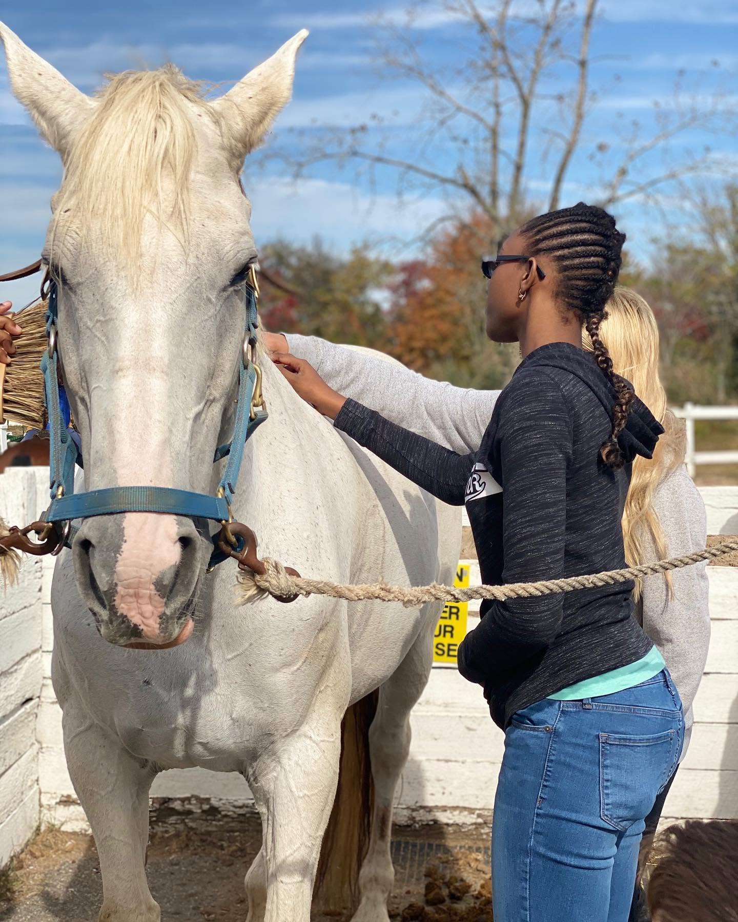 A day at the stables
