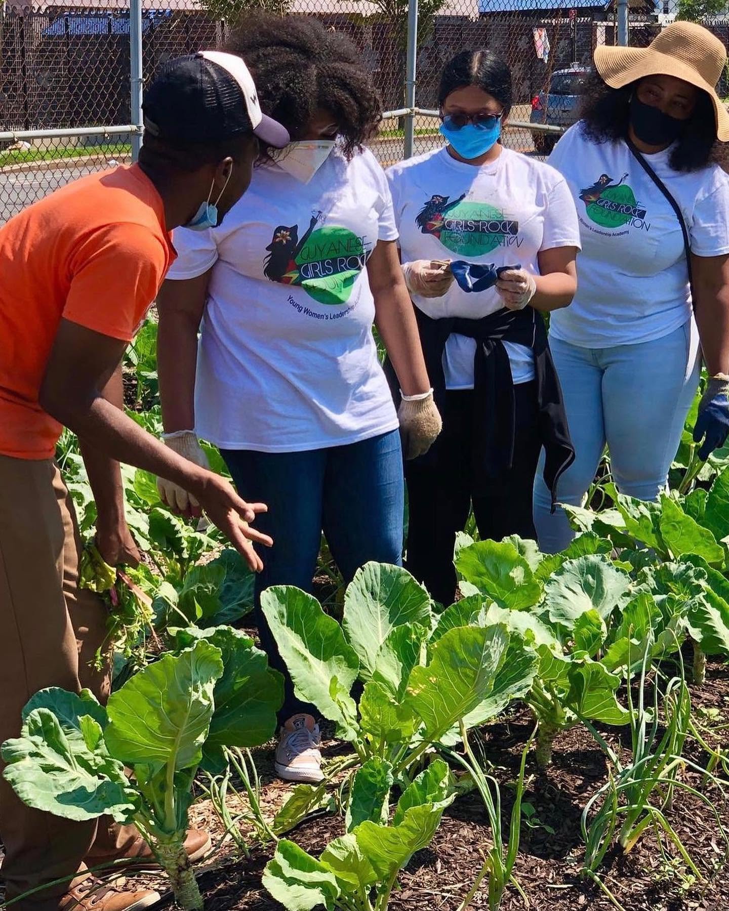 A day in the community garden
