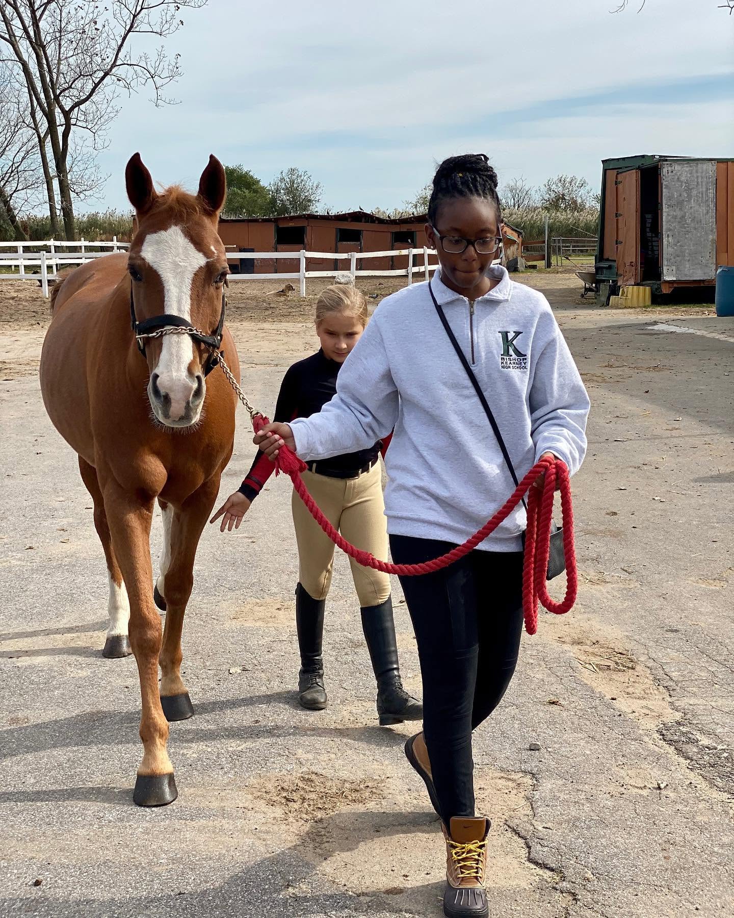 Gentle moments with the horses